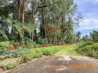 https://phangnga.ohoproperty.com/199742/ธนาคารกสิกรไทย/ขายที่ดินว่างเปล่า/คึกคัก/ตะกั่วป่า/พังงา/