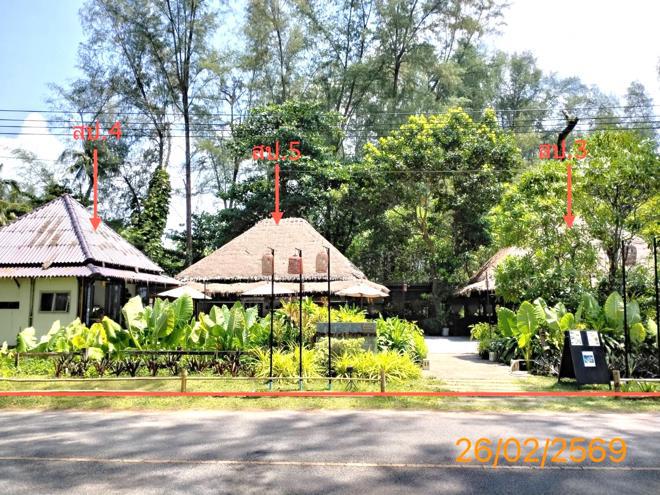 บางม่วง ตะกั่วป่า พังงา